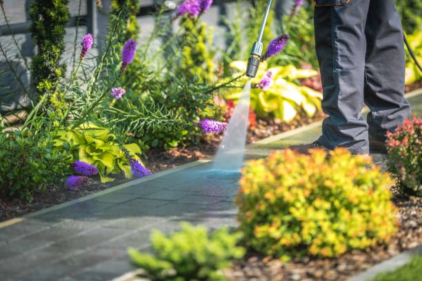 Best Pool Deck Cleaning  in Wagener, SC