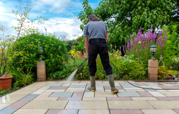 Best Fence Cleaning  in Wagener, SC