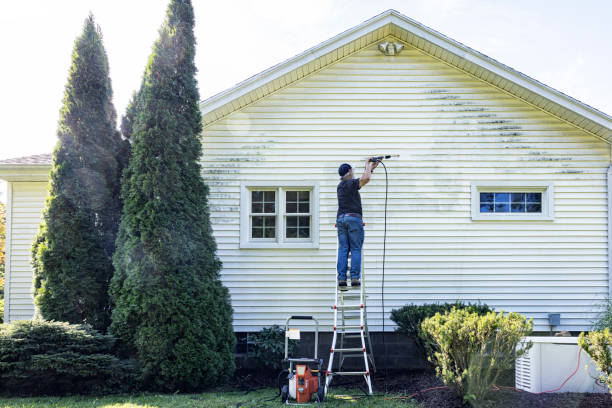Best Patio and Deck Pressure Washing  in Wagener, SC